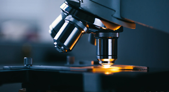 永利集团·304am(中国游)官方网站