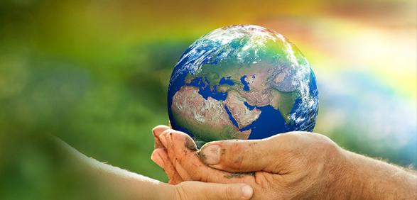 永利集团·304am(中国游)官方网站